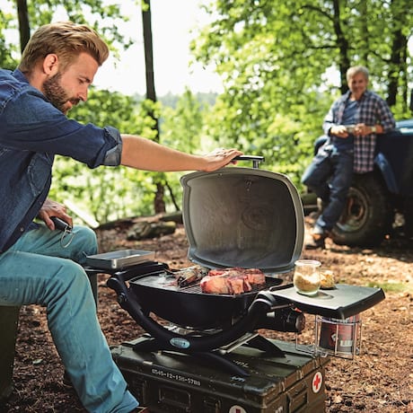 Weber Tischgrill Q 1200 Gas