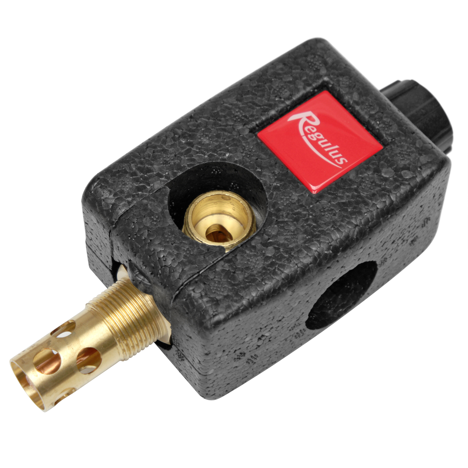 Sécurité thermique de décharge Regulus Vanne thermostatique DBV-1