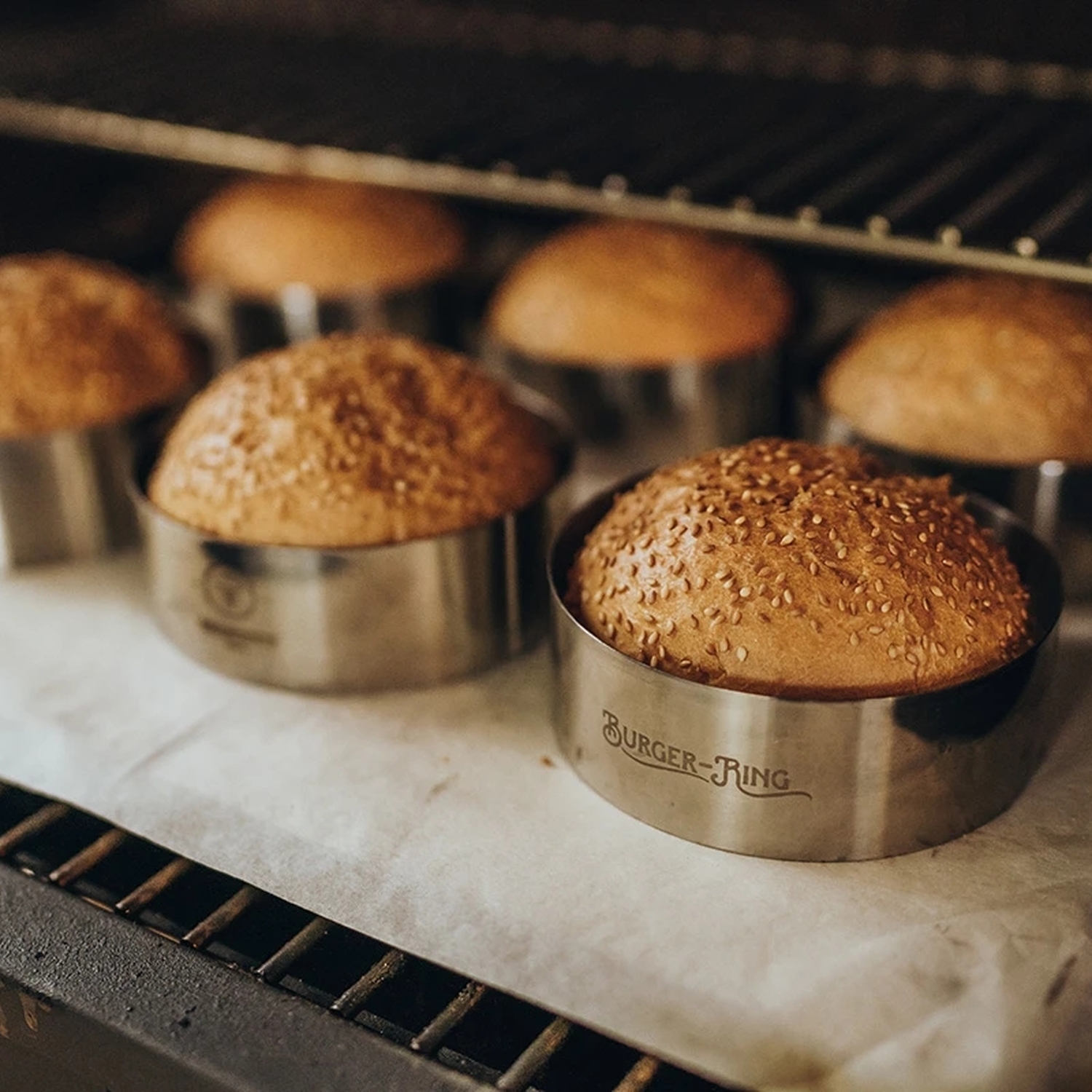 Moesta anneau XL pour MOESTA presse lot de 6 Moesta anneau XL pour MOESTA presse lot de 6