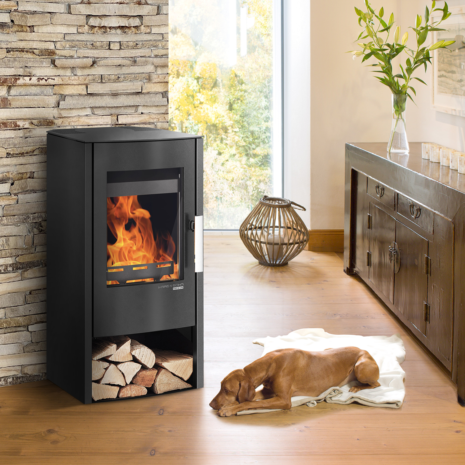 Haas+Sohn Rosenheim easy Poêle à bois Noir perlé / Acier