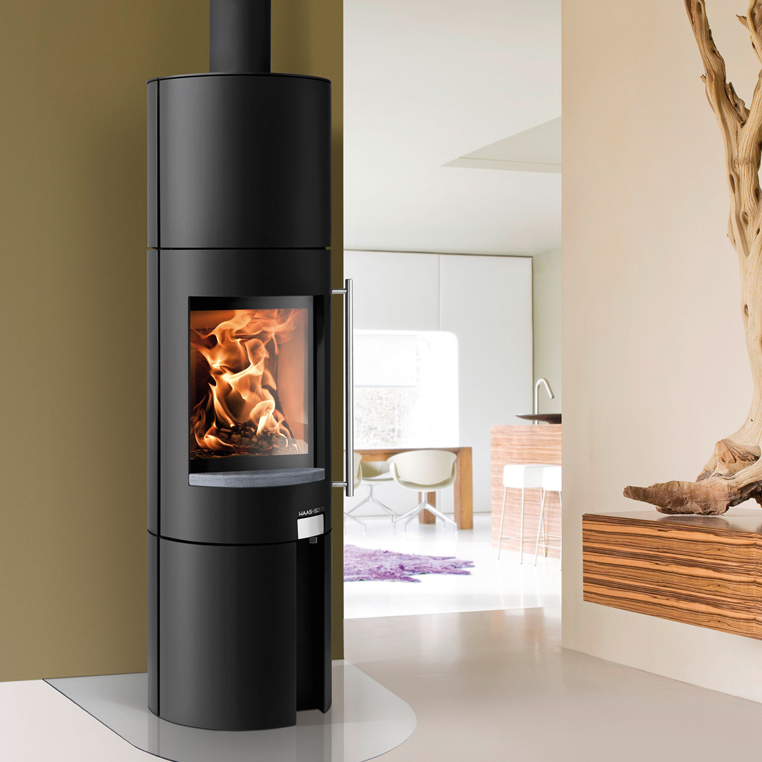 Haas+Sohn Ficus-III 287.12-G Poêle à bois