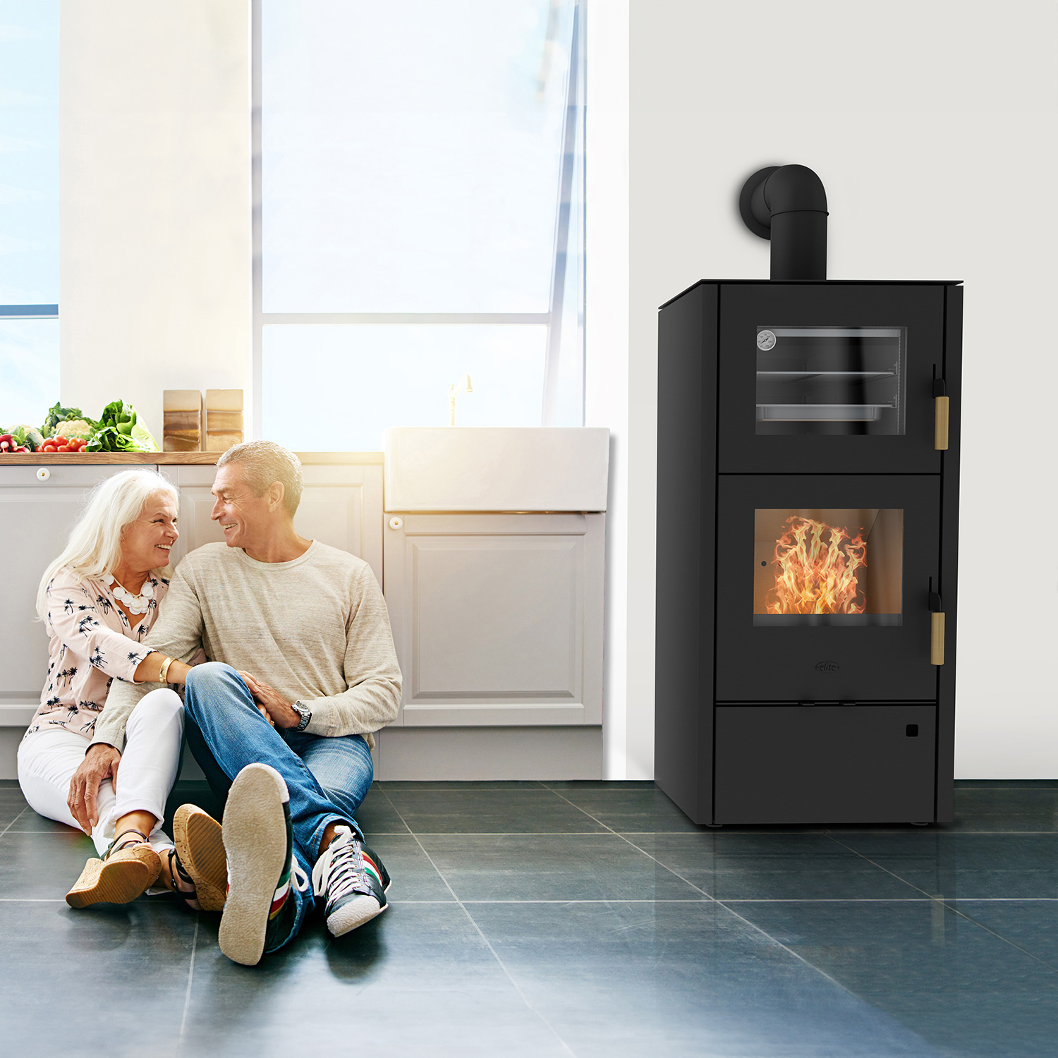 Cheminée Elite Inda Poêle à bois Acier Noir